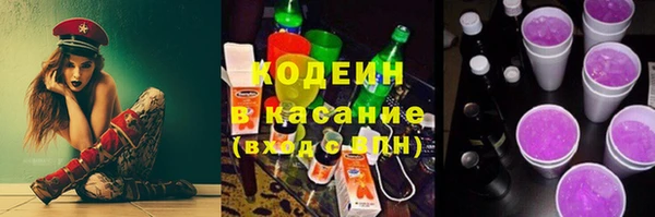 индика Богданович